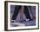 Tango Dancers' Feet, San Miguel De Allende, Mexico-Nancy Rotenberg-Framed Photographic Print