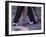 Tango Dancers' Feet, San Miguel De Allende, Mexico-Nancy Rotenberg-Framed Photographic Print