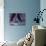 Tango Dancers' Feet, San Miguel De Allende, Mexico-Nancy Rotenberg-Photographic Print displayed on a wall