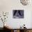 Tango Dancers' Feet, San Miguel De Allende, Mexico-Nancy Rotenberg-Mounted Photographic Print displayed on a wall