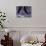 Tango Dancers' Feet, San Miguel De Allende, Mexico-Nancy Rotenberg-Photographic Print displayed on a wall