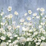 Cosmos Meadow-Tania Bello-Giclee Print