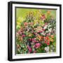 Black Frame
