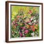 Brown Frame