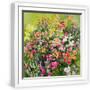 White Frame