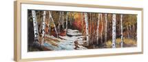 Brown Frame