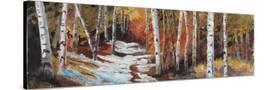 Stretched Canvas