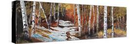 Stretched Canvas