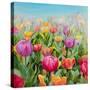 Stretched Canvas
