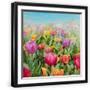 Black Frame