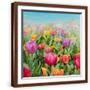 Brown Frame