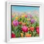 White Frame