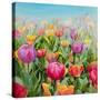 Stretched Canvas
