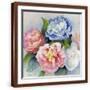 Brown Frame