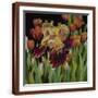 Brown Frame