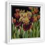 White Frame