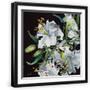 Black Frame