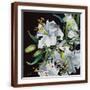 Brown Frame