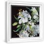 White Frame
