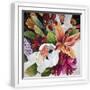 White Frame