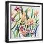 Black Frame