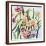 Brown Frame