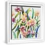 White Frame