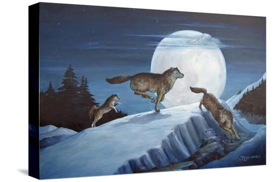 Stretched Canvas Print, , large