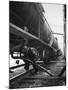 Tank Cars Line Up to Take on Crude Oil at Siding of Standard Oil of New Jersey Refinery-null-Mounted Photographic Print