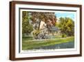Brown Frame