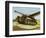 Tank Equipped with Retractable Wings-null-Framed Art Print