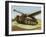 Tank Equipped with Retractable Wings-null-Framed Art Print