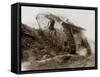 Tank in Action-English Photographer-Framed Stretched Canvas