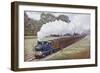 Tank Locomotive Pulling a Great Eastern Railway Train-null-Framed Giclee Print