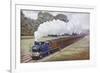 Tank Locomotive Pulling a Great Eastern Railway Train-null-Framed Giclee Print