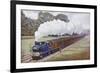 Tank Locomotive Pulling a Great Eastern Railway Train-null-Framed Giclee Print