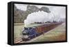 Tank Locomotive Pulling a Great Eastern Railway Train-null-Framed Stretched Canvas