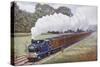 Tank Locomotive Pulling a Great Eastern Railway Train-null-Stretched Canvas