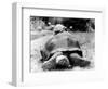 Tank the Giant Tortoise, London Zoo, 180 Kilos, 80 Years Old, on Top is Tiki a Small Tortoise-null-Framed Photographic Print