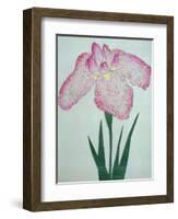 Tanka No-Koe Book of a Pink Iris-Stapleton Collection-Framed Giclee Print