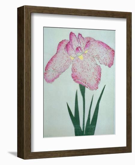 Tanka No-Koe Book of a Pink Iris-Stapleton Collection-Framed Giclee Print