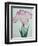 Tanka No-Koe Book of a Pink Iris-Stapleton Collection-Framed Giclee Print