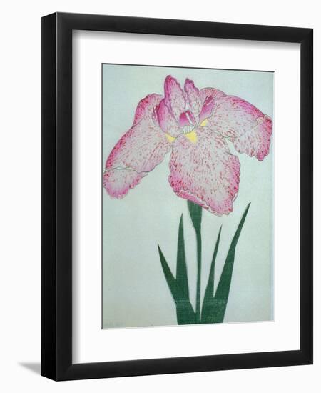 Tanka No-Koe Book of a Pink Iris-Stapleton Collection-Framed Giclee Print