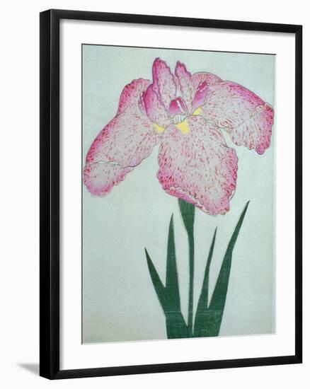 Tanka No-Koe Book of a Pink Iris-Stapleton Collection-Framed Giclee Print