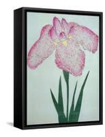 Tanka No-Koe Book of a Pink Iris-Stapleton Collection-Framed Stretched Canvas