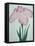 Tanka No-Koe Book of a Pink Iris-Stapleton Collection-Framed Stretched Canvas