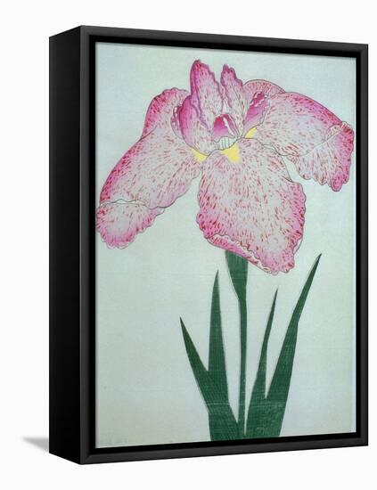 Tanka No-Koe Book of a Pink Iris-Stapleton Collection-Framed Stretched Canvas