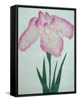 Tanka No-Koe Book of a Pink Iris-Stapleton Collection-Framed Stretched Canvas