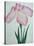 Tanka No-Koe Book of a Pink Iris-Stapleton Collection-Stretched Canvas