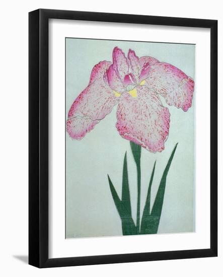 Tanka No-Koe Book of a Pink Iris-Stapleton Collection-Framed Giclee Print